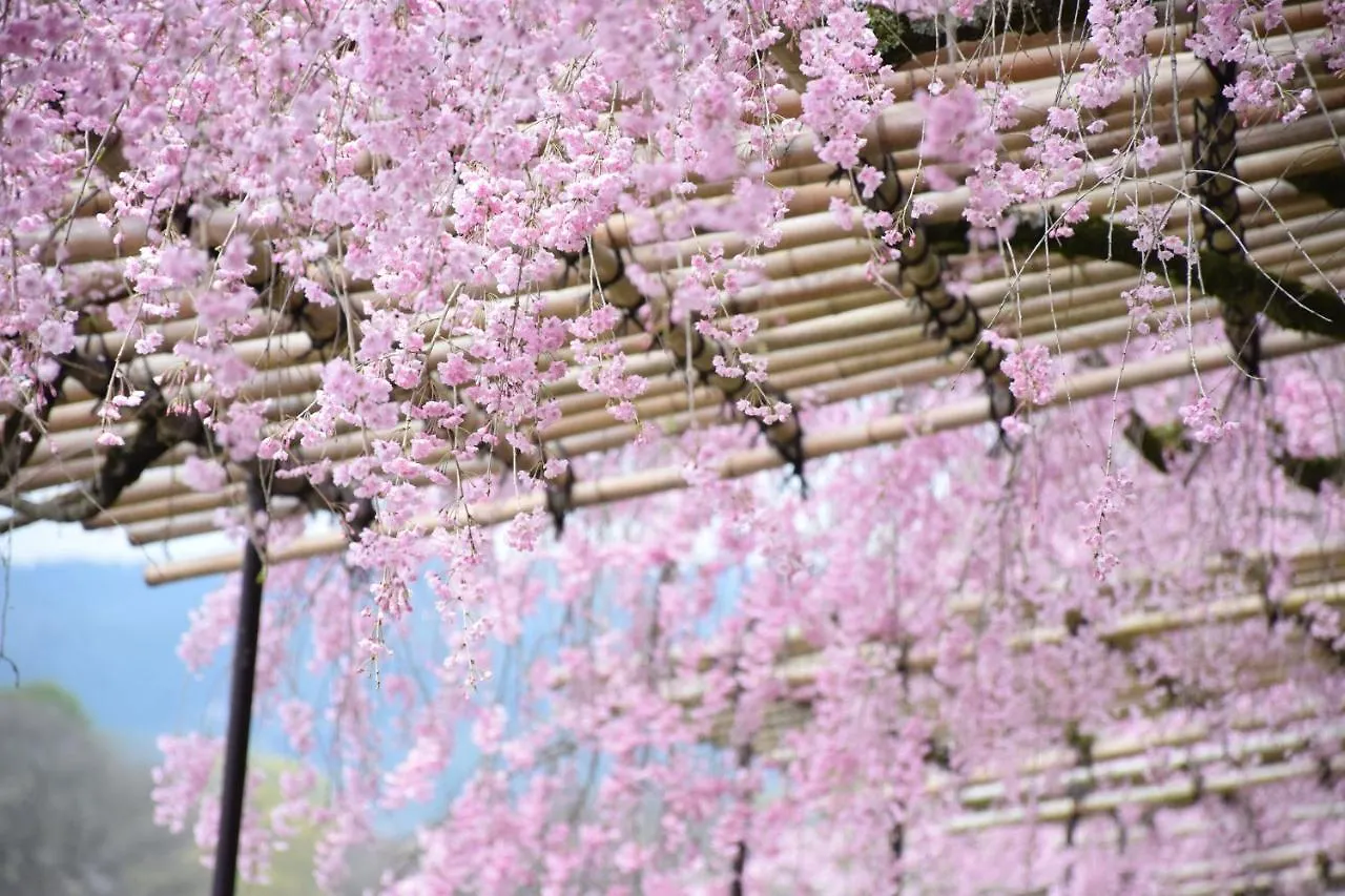 Holiday home Guesthouse Kikokuan Kyoto